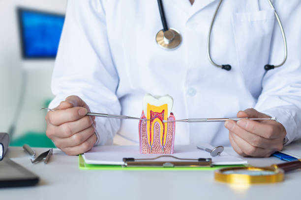 Best Emergency Tooth Extraction in Overland, MO
